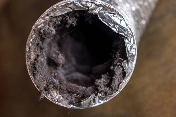 Best HVAC Air Duct Cleaning  in Royal Palm Beach, FL